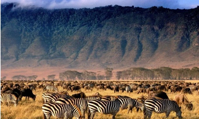 The Best Tanzania tour operators company in Tanzania | Kizza Adventure